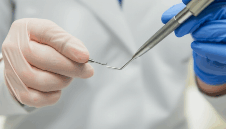 What Degree Do You Need to Become a Dentist Your Complete Educational Path